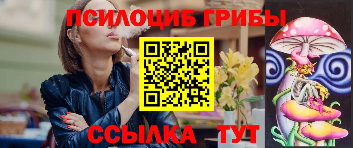 Псилоцибиновые грибы мицелий Елец