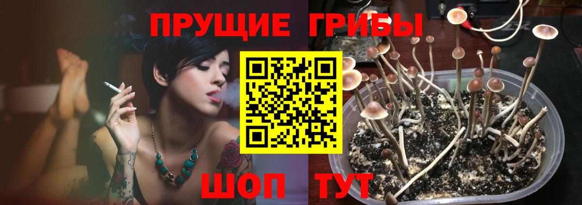 Псилоцибиновые грибы GOLDEN TEACHER  Вход с VPN  Елец 